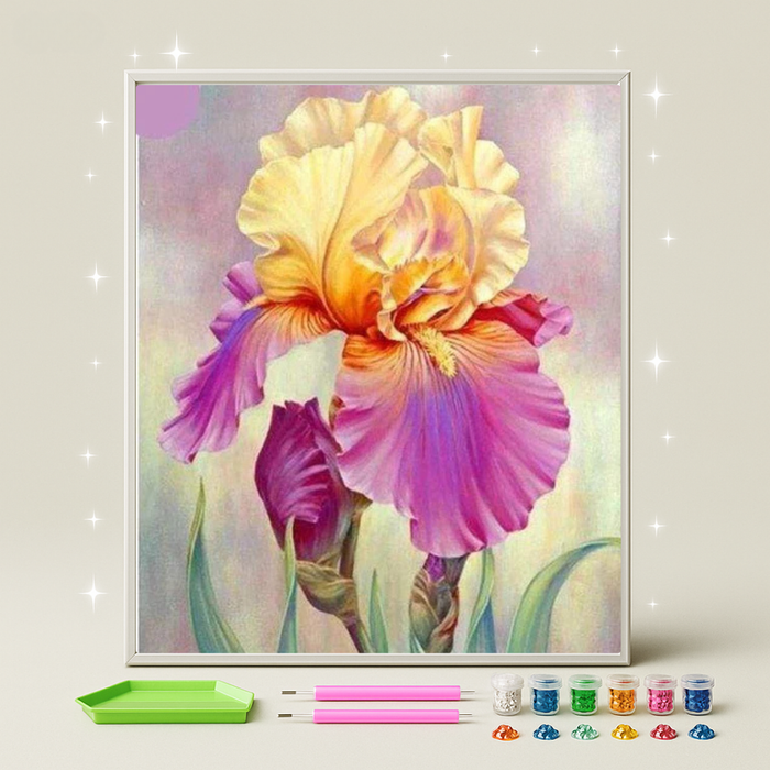 زهرة السوسن · طقم رسم بالماس