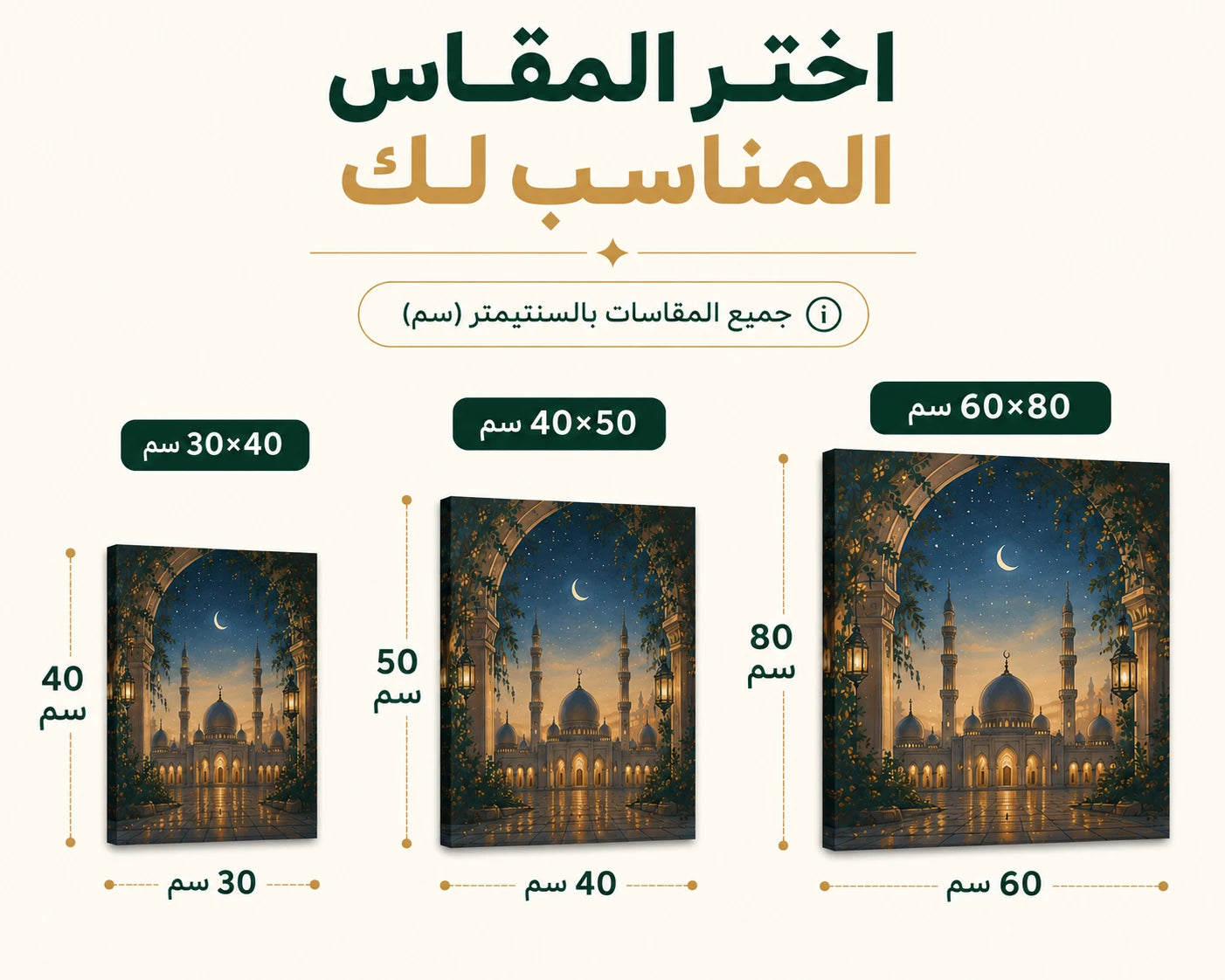 دليل المقاسات
